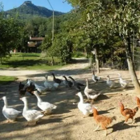 Allotjaments Colomer-cullell *